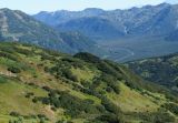 Image of landscape