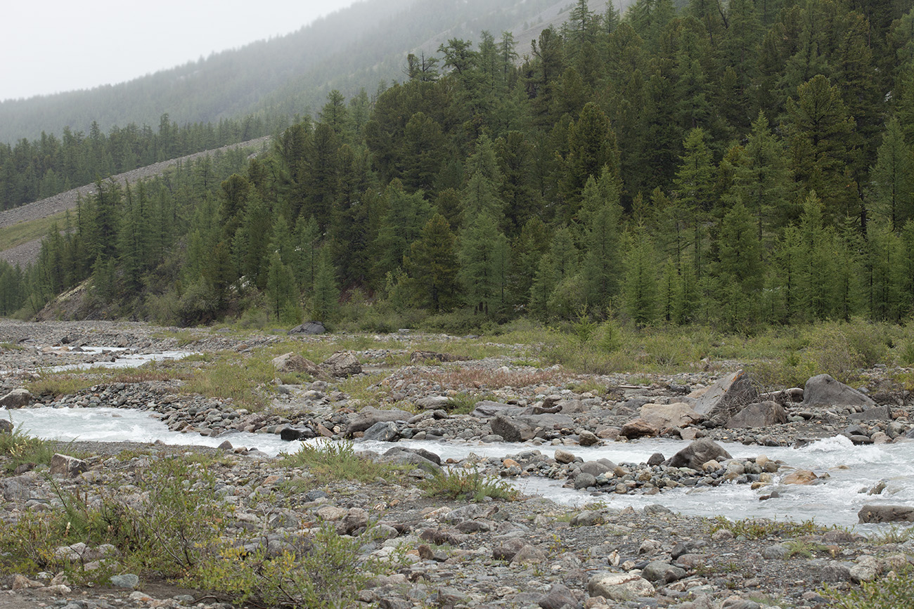 Ак-Тру, image of landscape/habitat.
