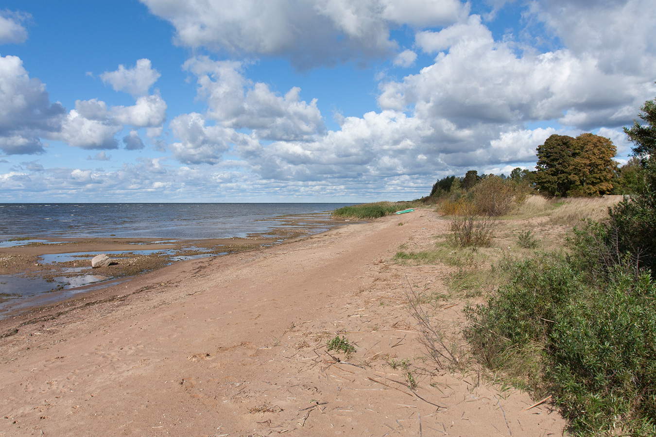 Лунёвщина, image of landscape/habitat.