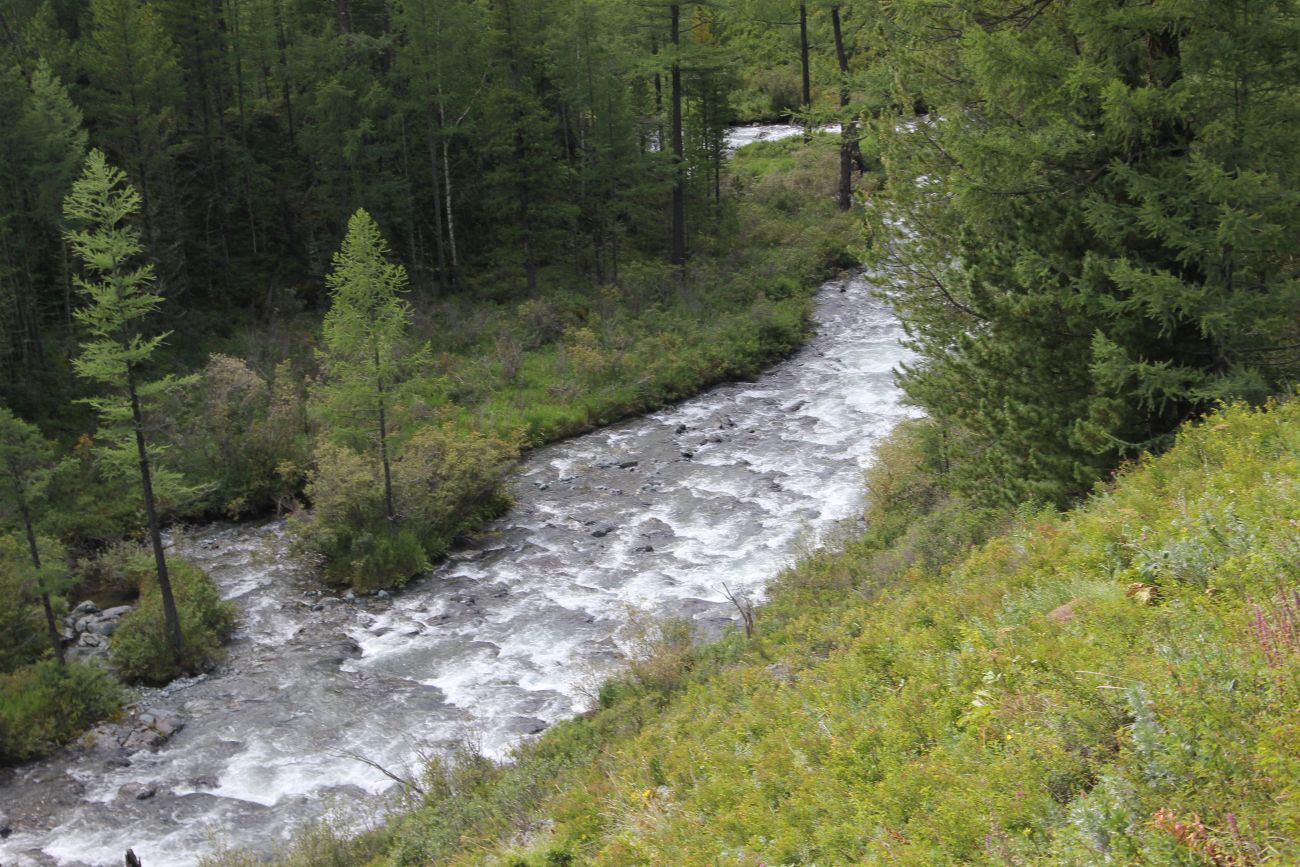 Долина реки Куйгук, image of landscape/habitat.