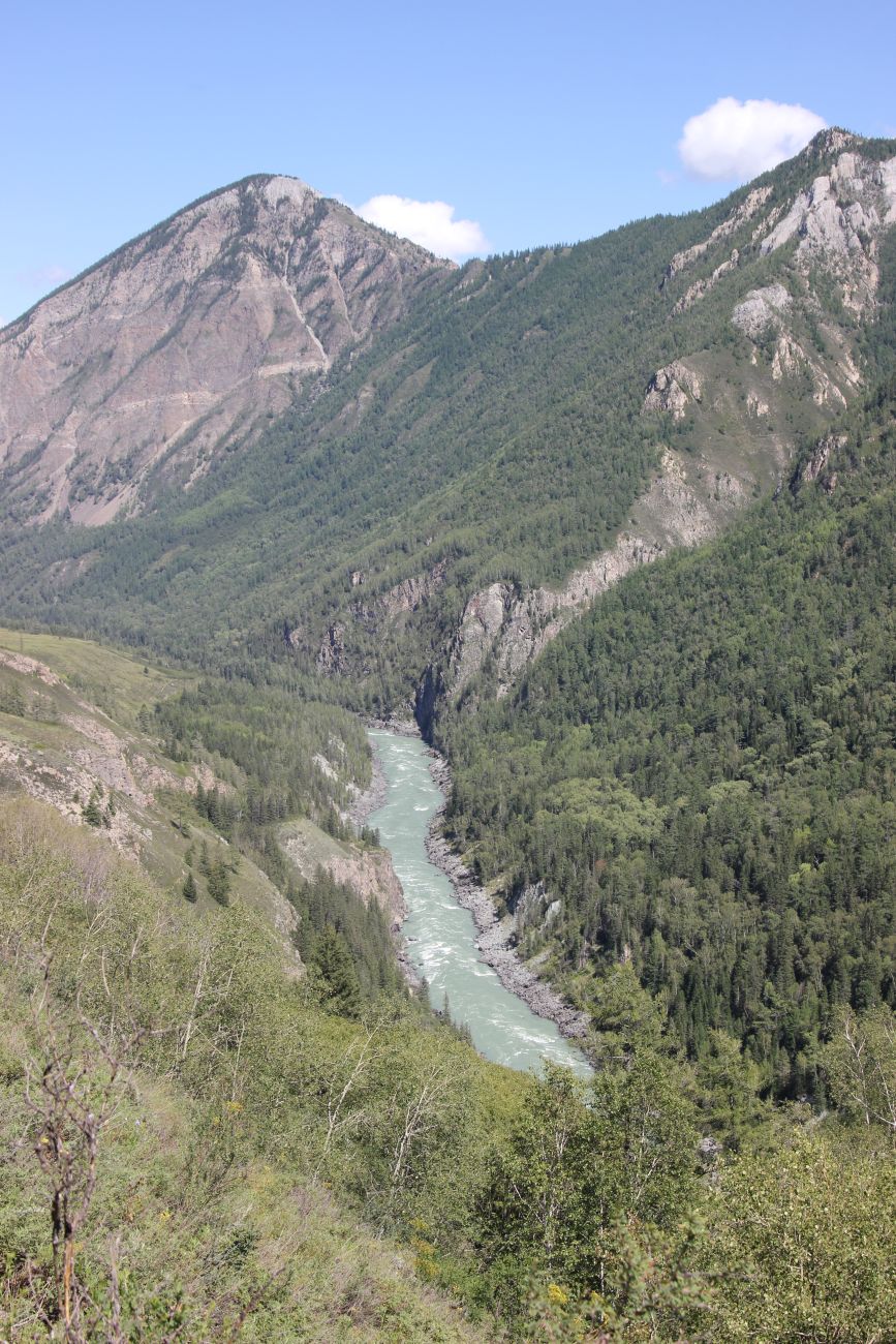 Окрестности ручья Чеба, image of landscape/habitat.