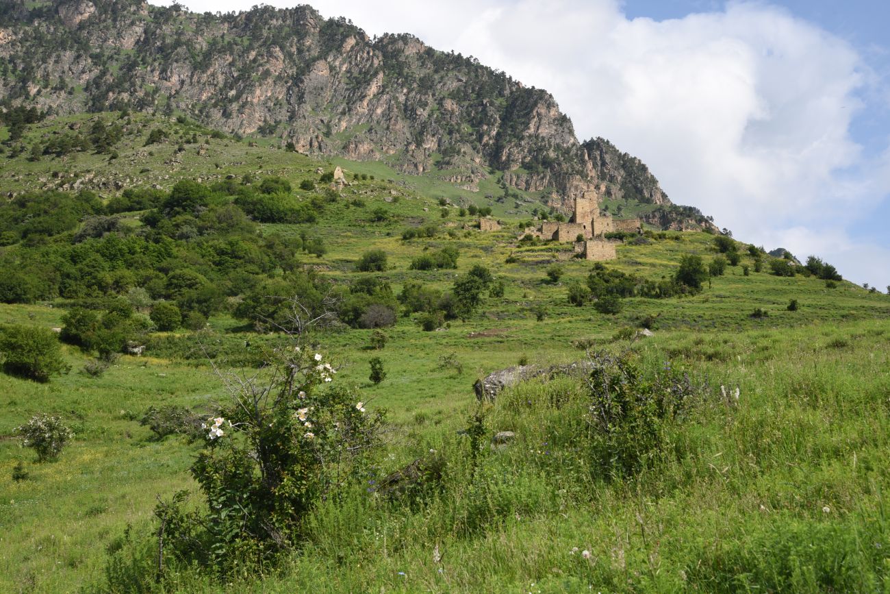 Бархане и окрестности, image of landscape/habitat.