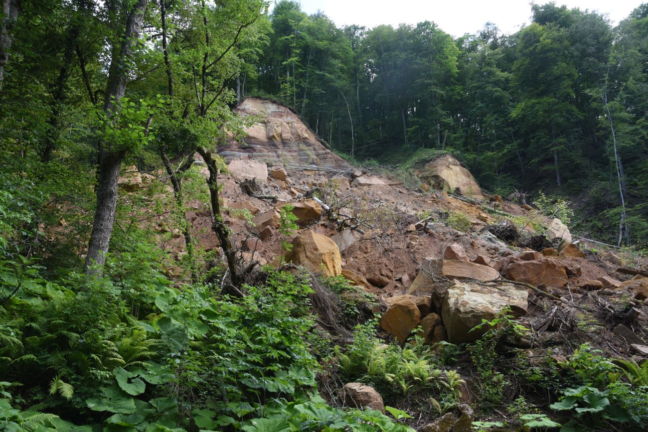 Долина реки Аминовка, image of landscape/habitat.