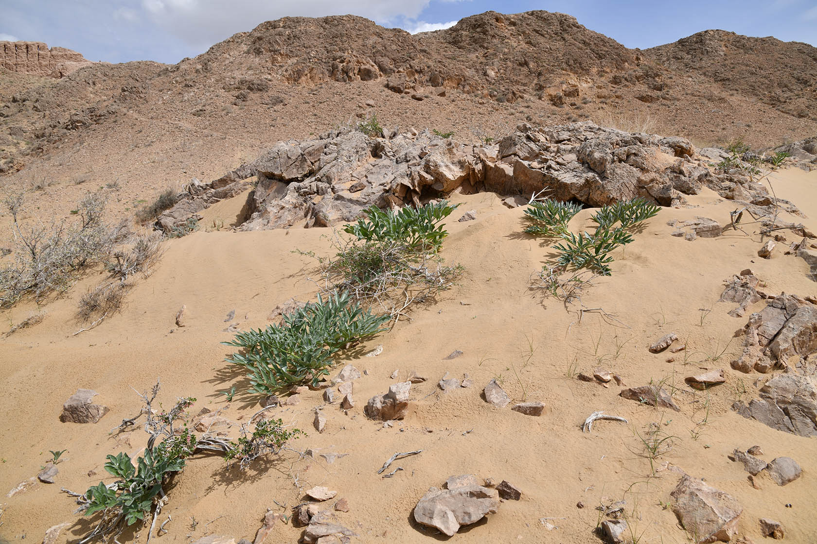 Аяз-Кала, image of landscape/habitat.