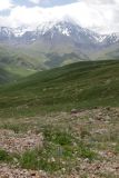 Image of landscape