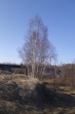 Image of landscape