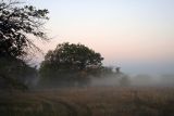 Image of landscape