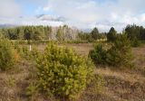 Image of landscape