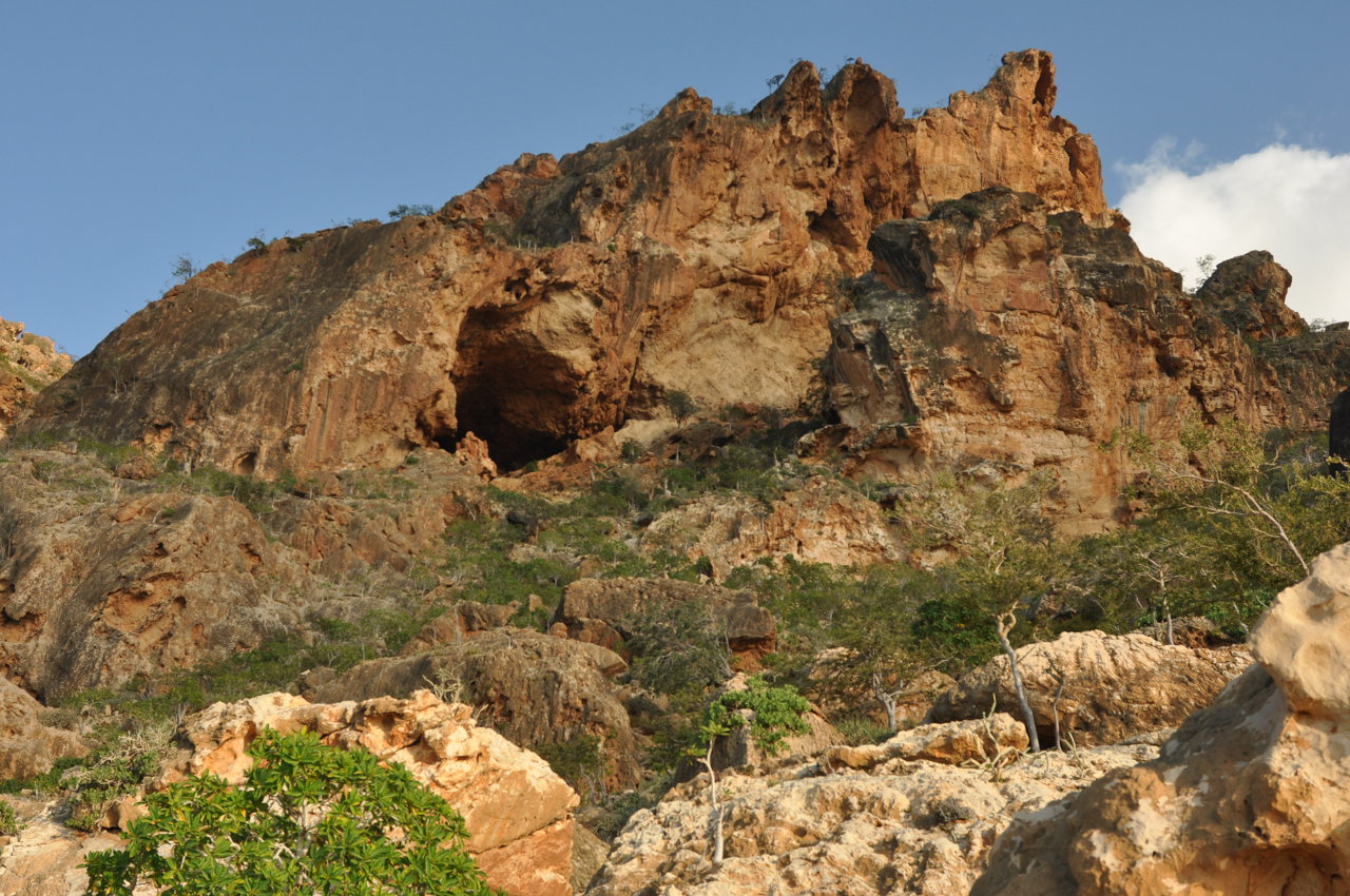 Лагуна Детвах, image of landscape/habitat.