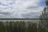 Правый обрывистый берег реки Обь, image of landscape/habitat.