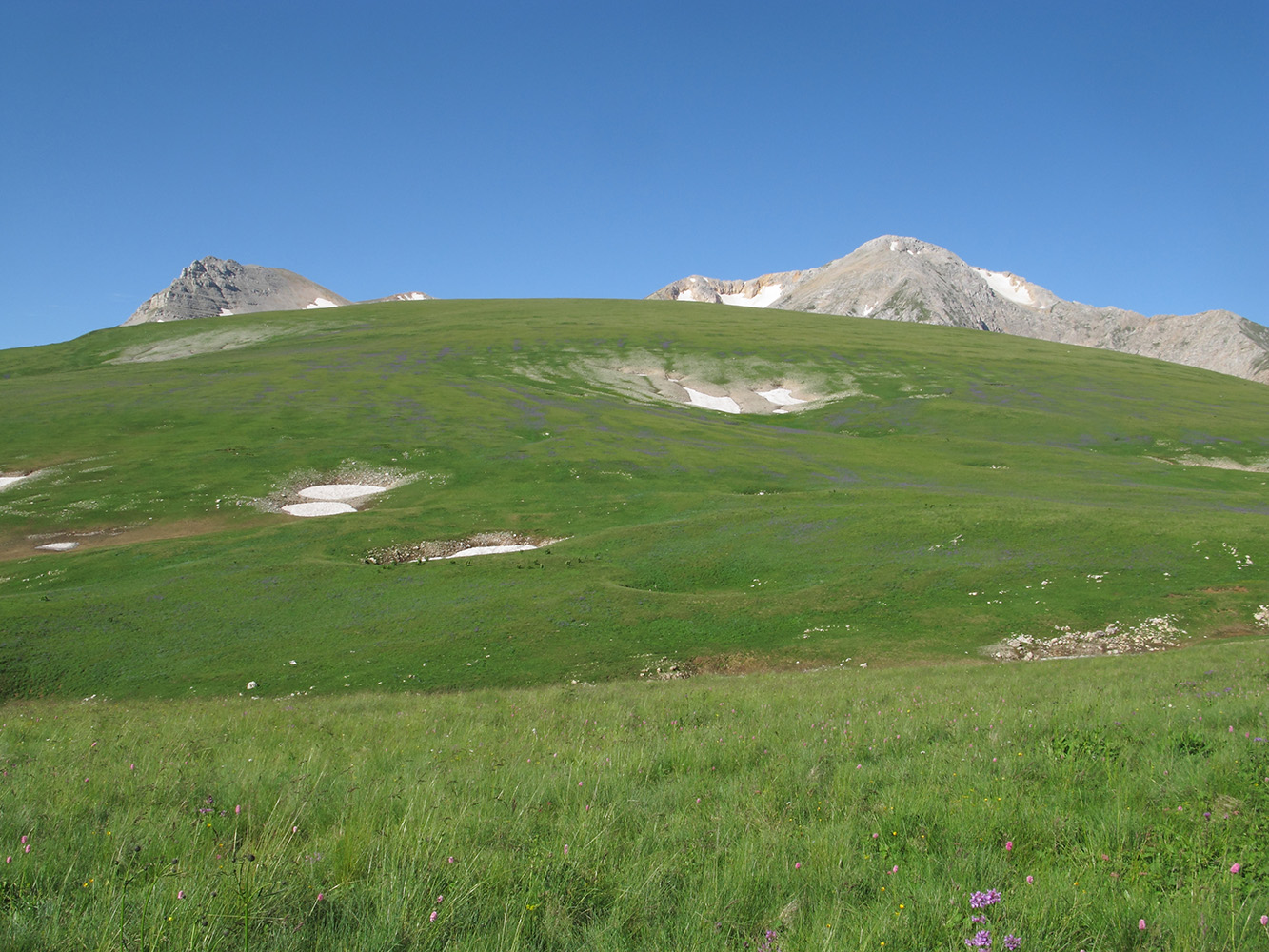 Блям, image of landscape/habitat.