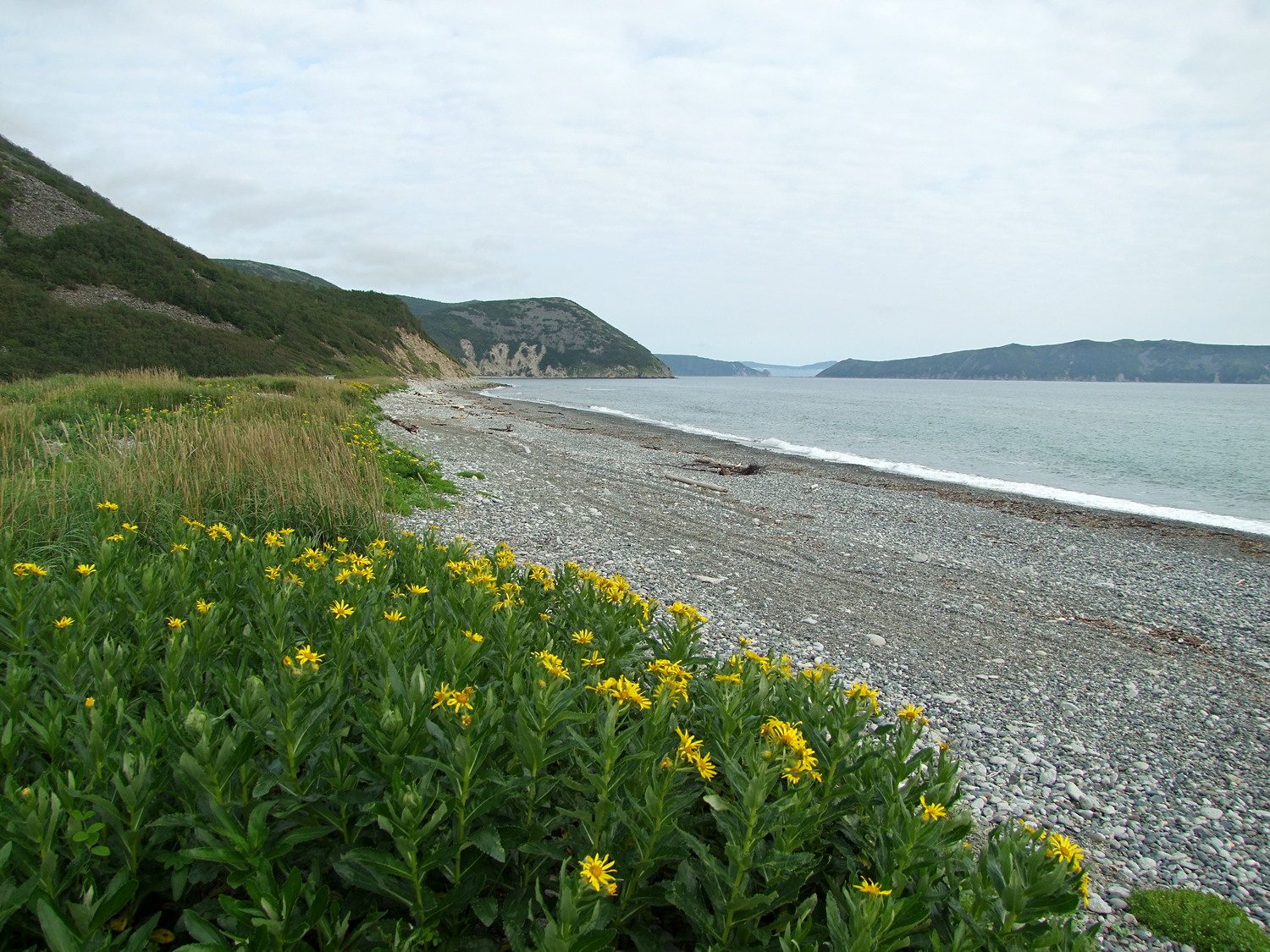 Арманское побережье, image of landscape/habitat.