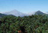 Image of landscape