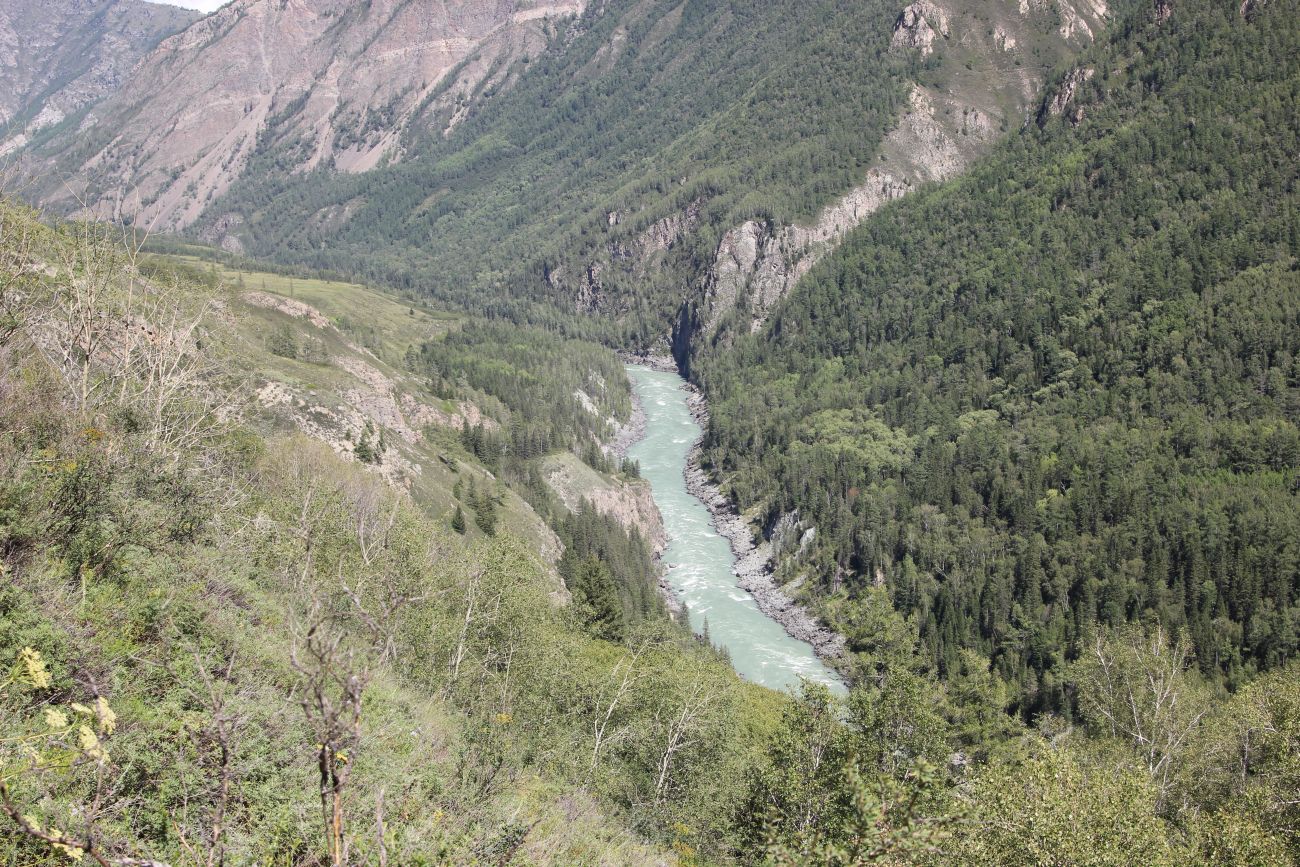 Окрестности ручья Чеба, изображение ландшафта.