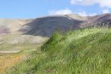Окрестности стоянки Аргамджи, image of landscape/habitat.