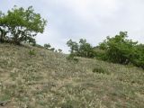 Гелинбатан, image of landscape/habitat.