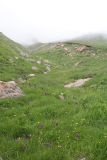 Image of landscape