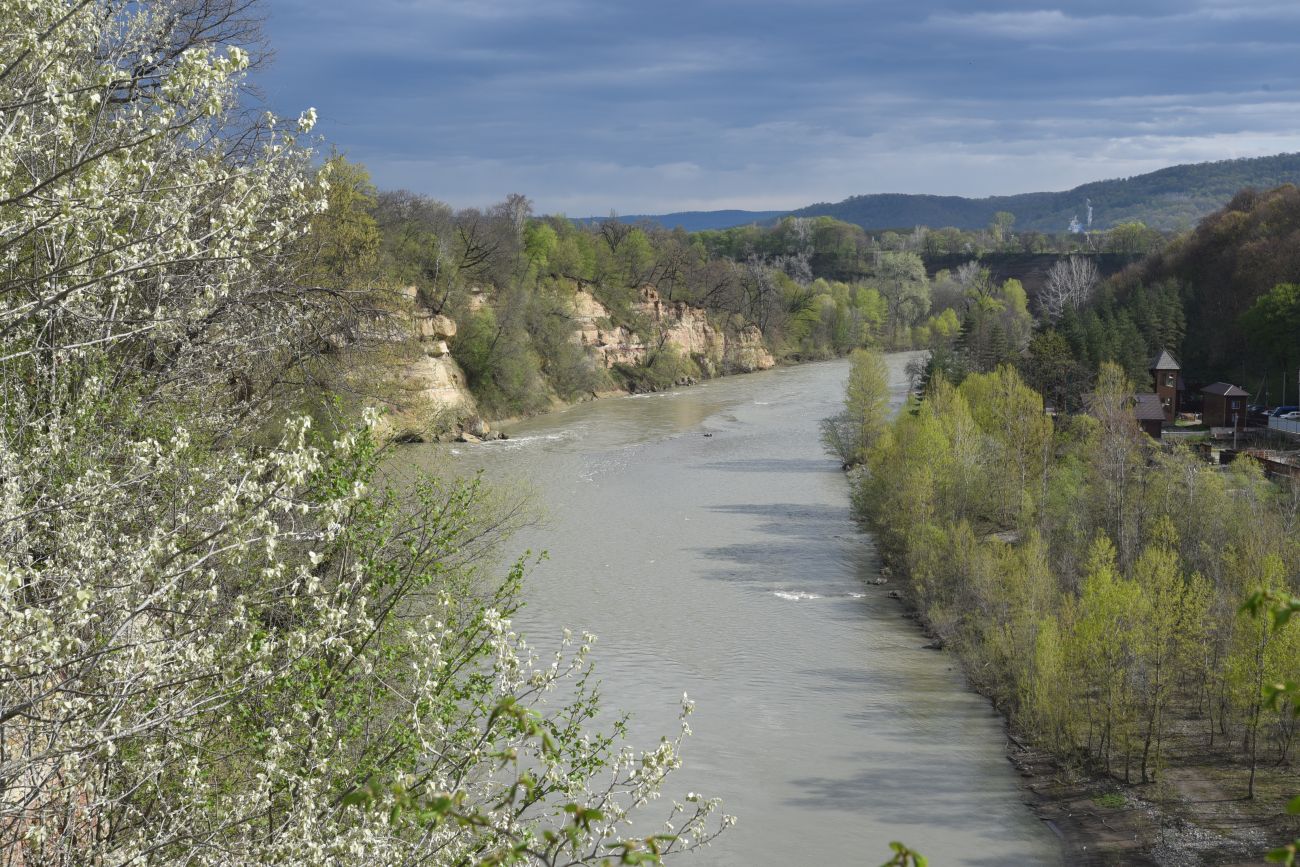 Урочище Бокши, image of landscape/habitat.