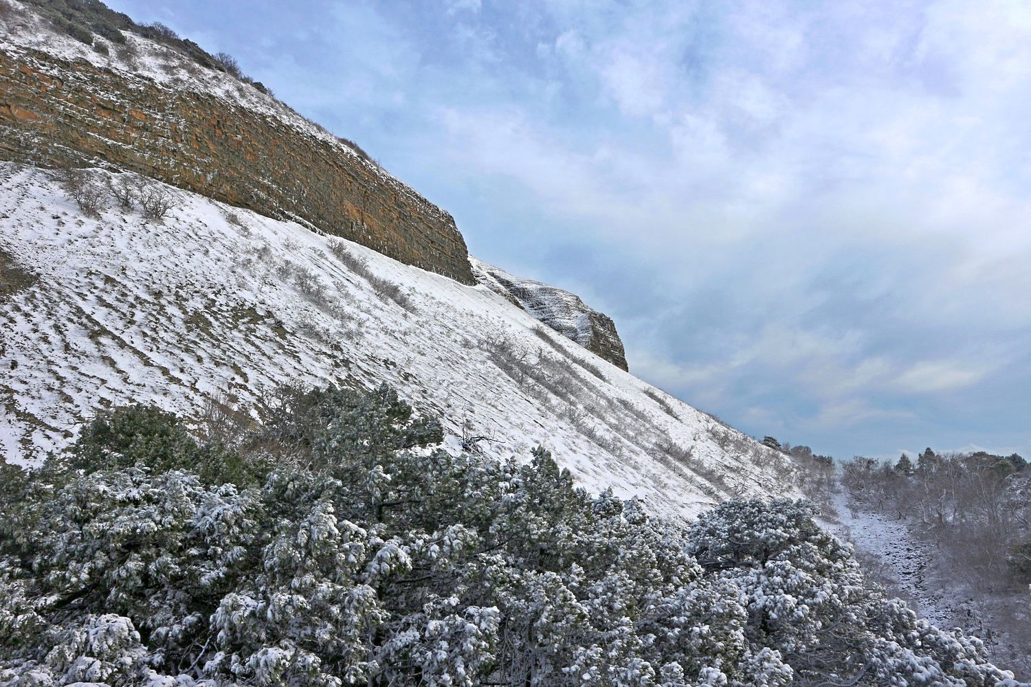 Мыс Большой Утриш, image of landscape/habitat.