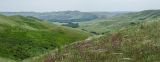 Султанбаево, image of landscape/habitat.