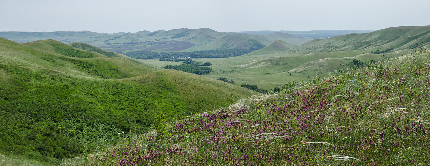 Султанбаево, image of landscape/habitat.
