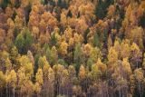 Порт Байкал, изображение ландшафта.