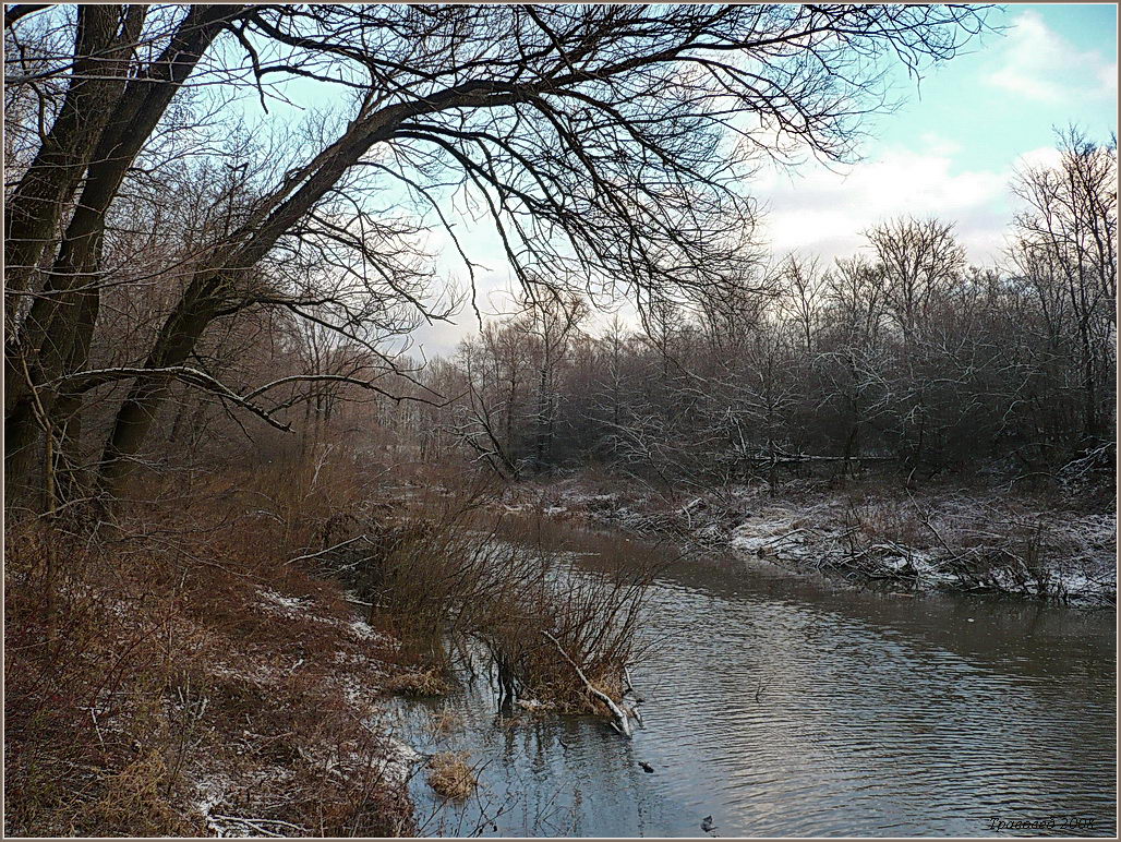 Соколова поляна, image of landscape/habitat.