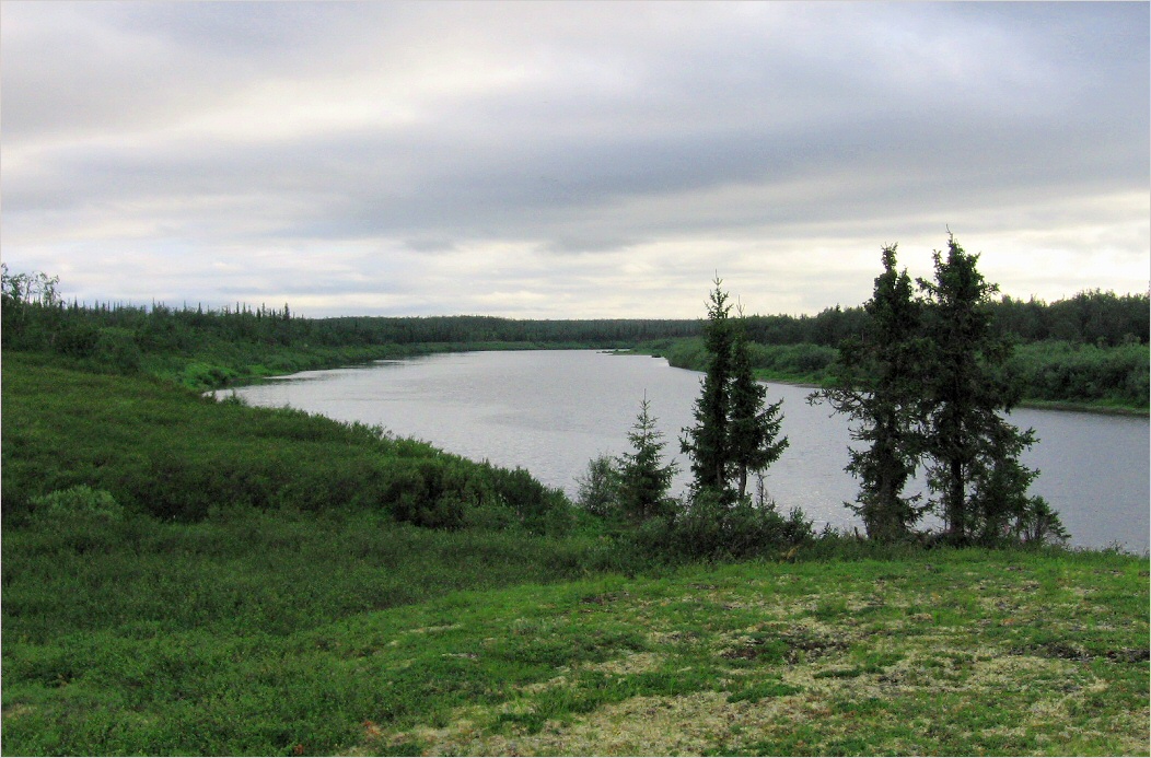 Юнъяха, image of landscape/habitat.