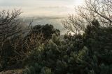 Landscape image