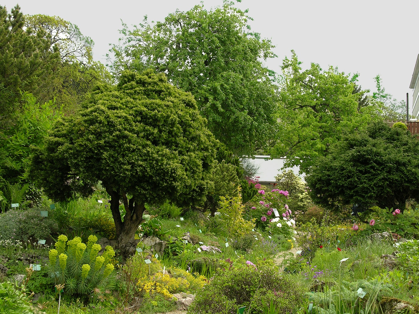 Бельведер, image of landscape/habitat.