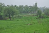 Image of landscape