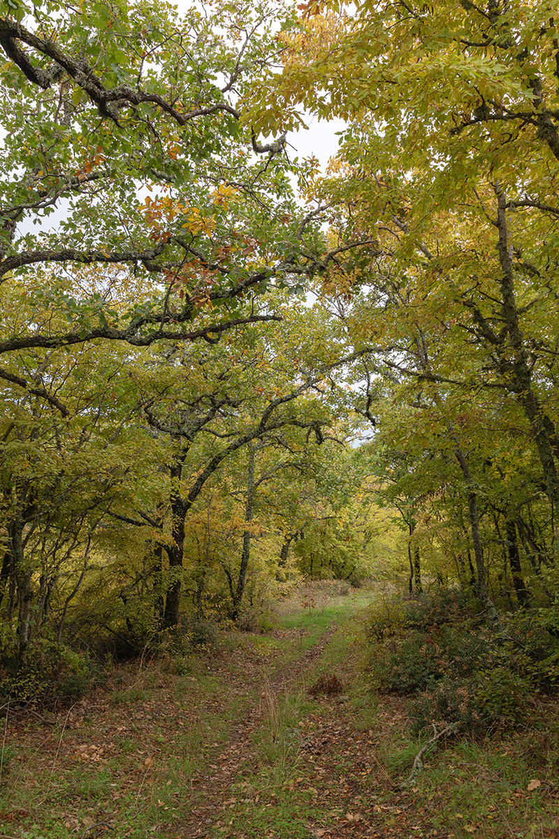 Партенит и окрестности, image of landscape/habitat.
