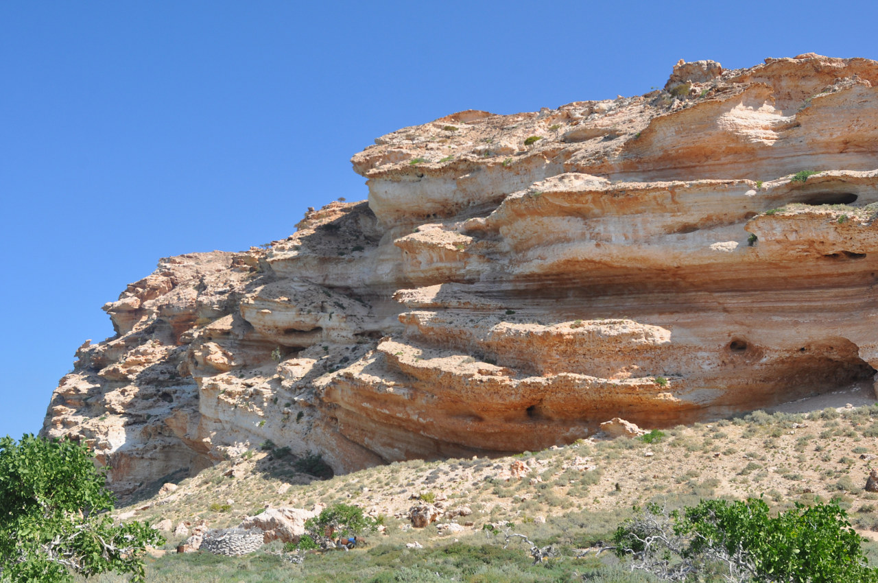 Залив Шуаб, image of landscape/habitat.