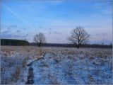 Соколова поляна, image of landscape/habitat.