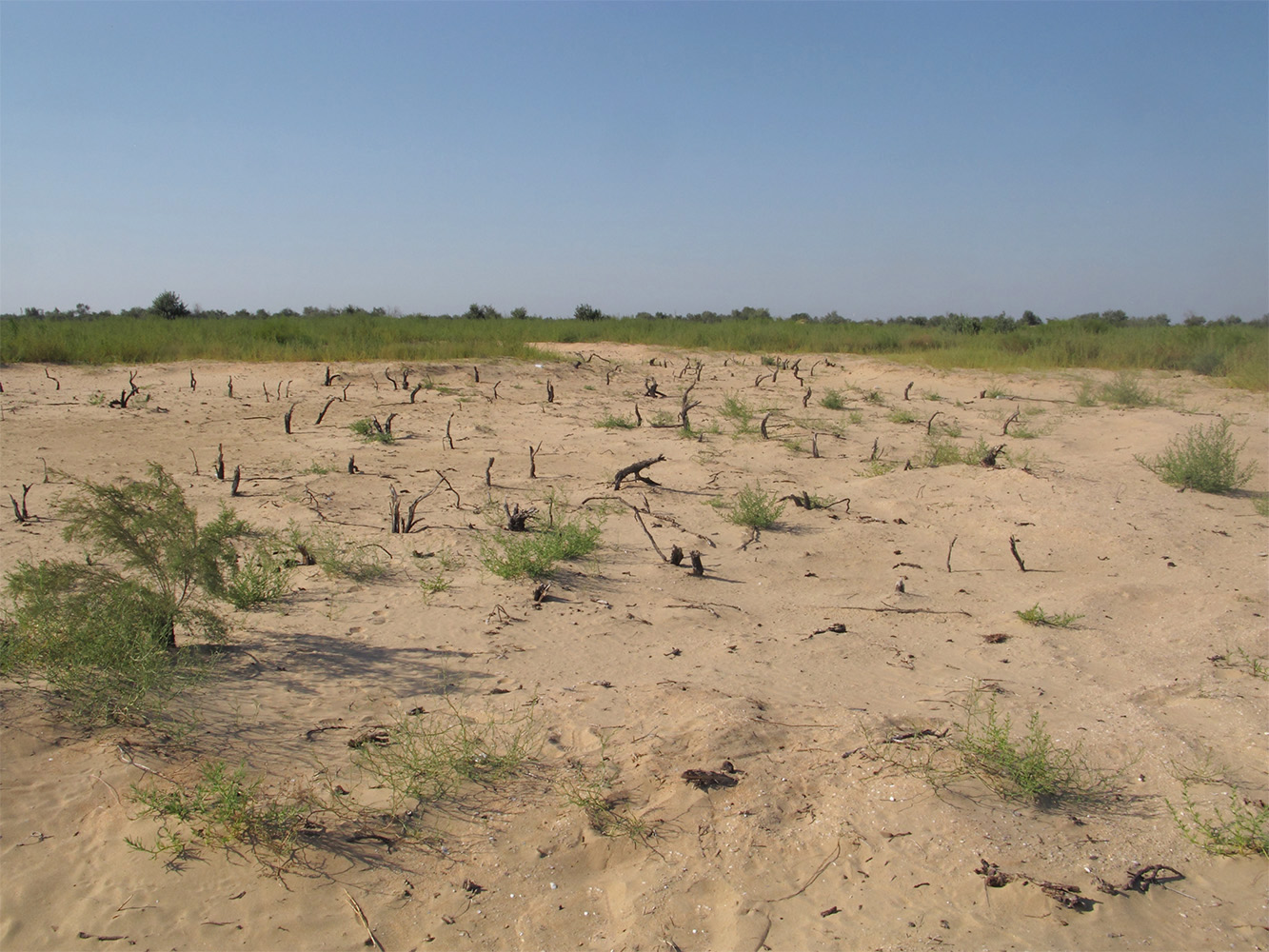 Витязевская коса, image of landscape/habitat.