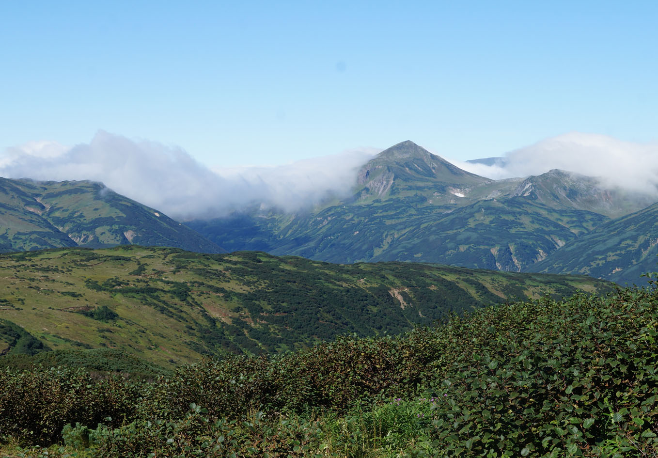 Вилючинский перевал, image of landscape/habitat.