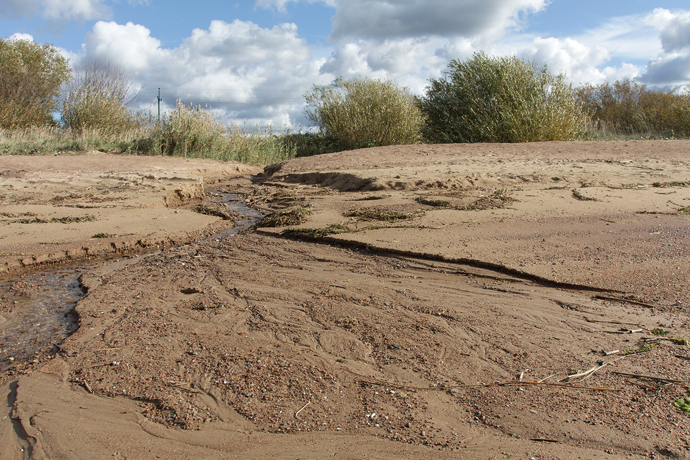 Лунёвщина, image of landscape/habitat.