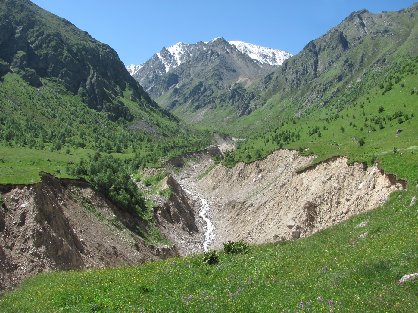 Долина реки Каяртысу, image of landscape/habitat.
