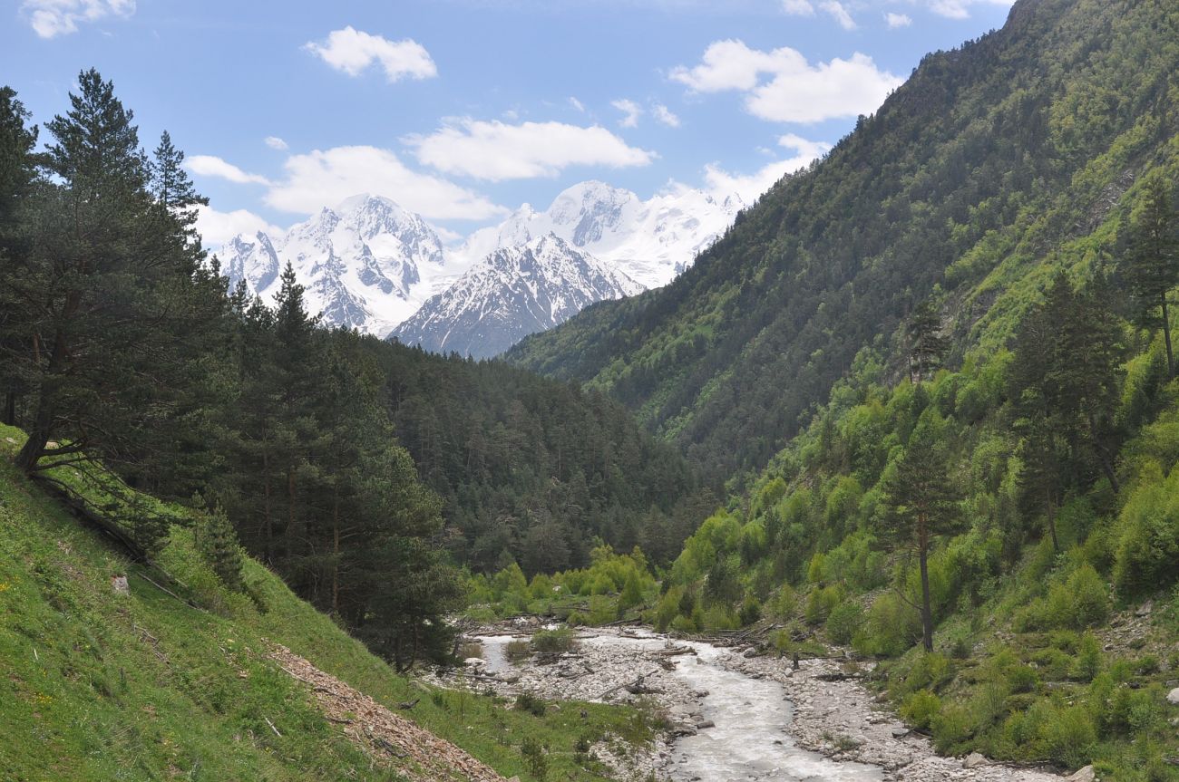 Долина реки Ирик, image of landscape/habitat.