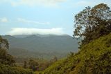 Image of landscape