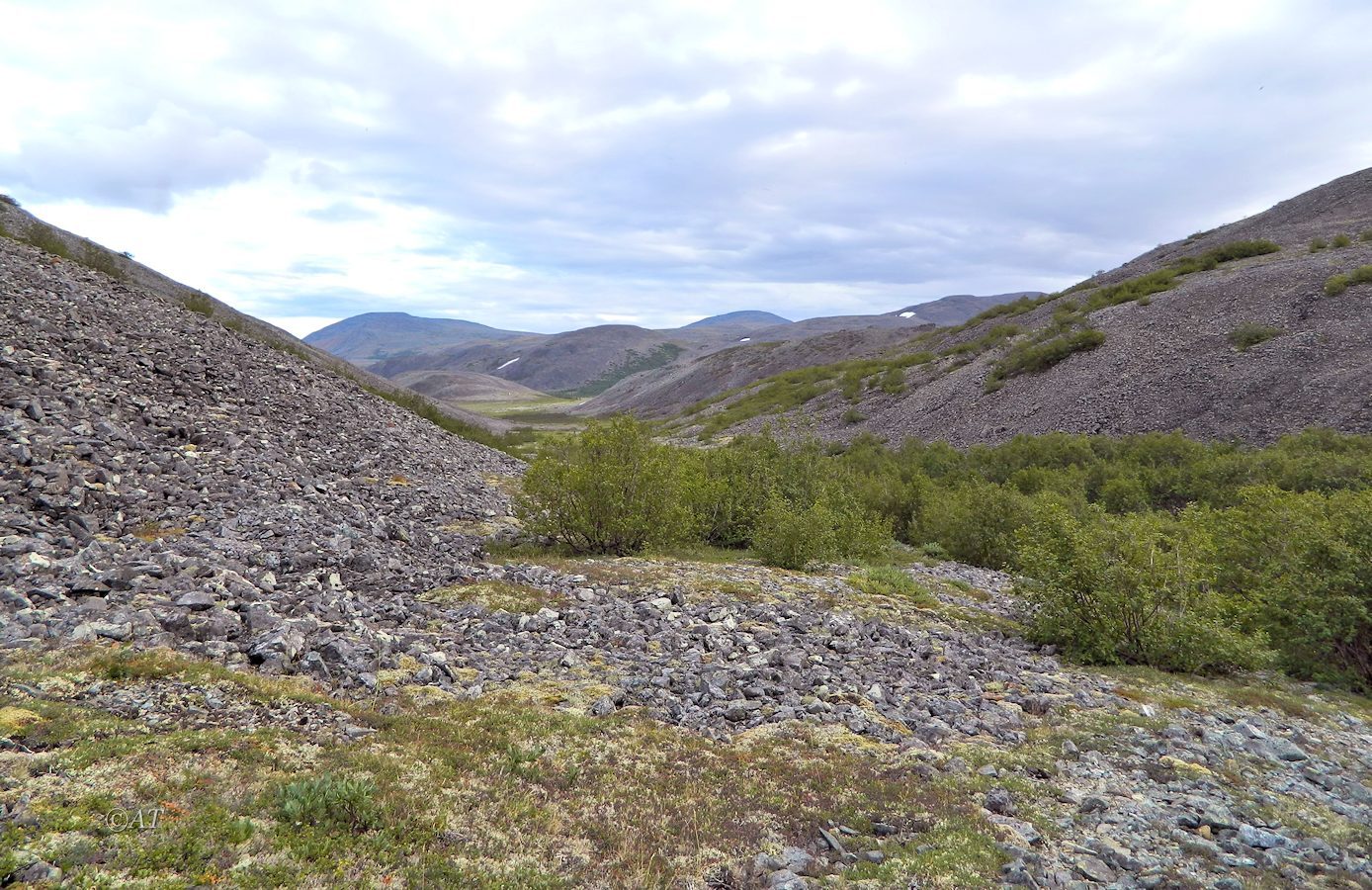 Малая Лагорта, image of landscape/habitat.