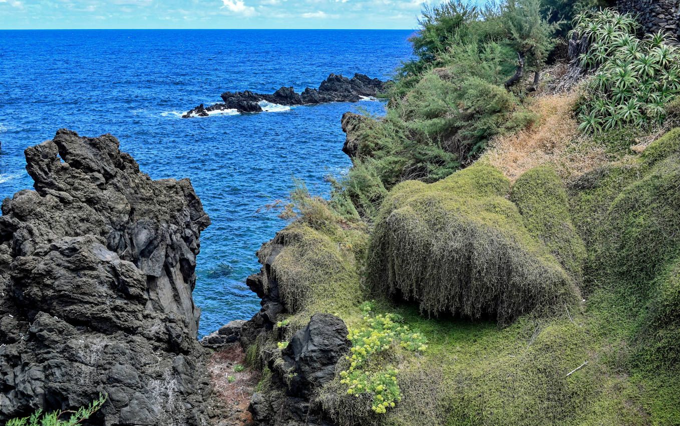 Порту-Мониш, image of landscape/habitat.