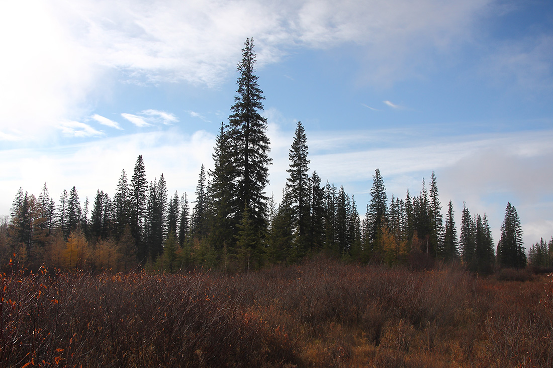 Окрестности села Зактуй, image of landscape/habitat.
