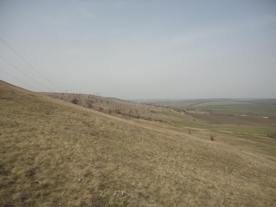 Окрестности села Лучинское, image of landscape/habitat.