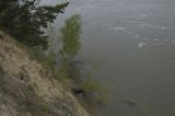 Landscape image