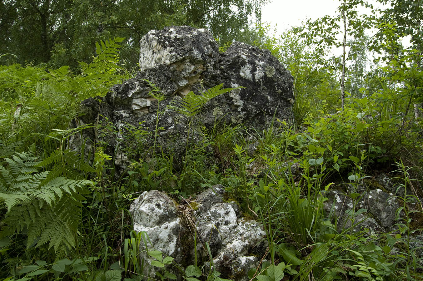 Сема, image of landscape/habitat.