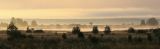 Image of landscape