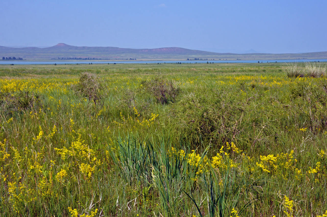 Озеро Малое Белё, image of landscape/habitat.