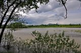 Берег Катуни у стелы "Алтай", image of landscape/habitat.