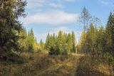 Image of landscape